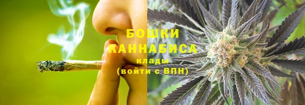 стаф Гусь-Хрустальный