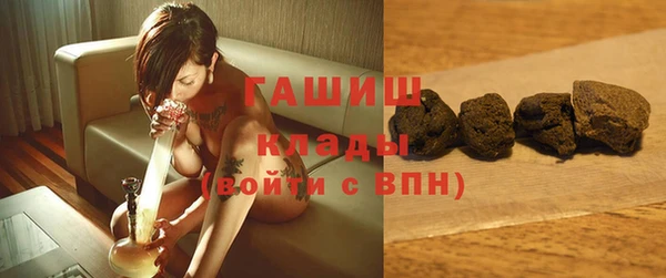 стаф Гусь-Хрустальный