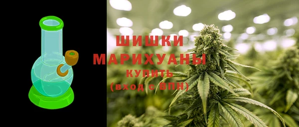 стаф Гусь-Хрустальный