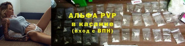 стаф Гусь-Хрустальный