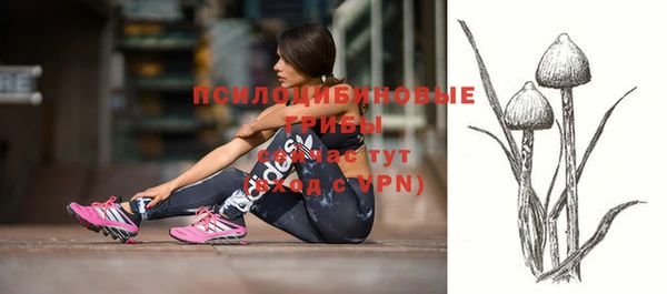 кристаллы Гусиноозёрск