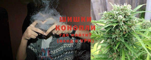 стаф Гусь-Хрустальный