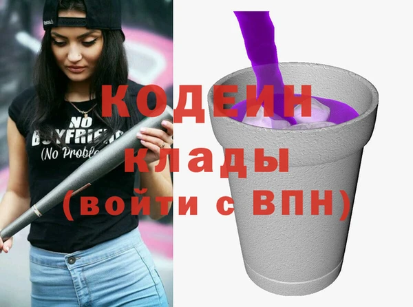 стаф Гусь-Хрустальный