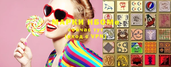 стаф Гусь-Хрустальный