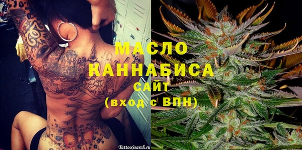 стаф Гусь-Хрустальный