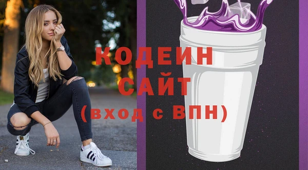 стаф Гусь-Хрустальный