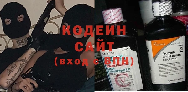 стаф Гусь-Хрустальный