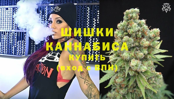 стаф Гусь-Хрустальный