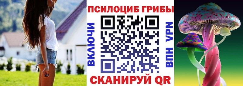 Галлюциногенные грибы Cubensis купить наркотик МЕГА зеркало Оренбург